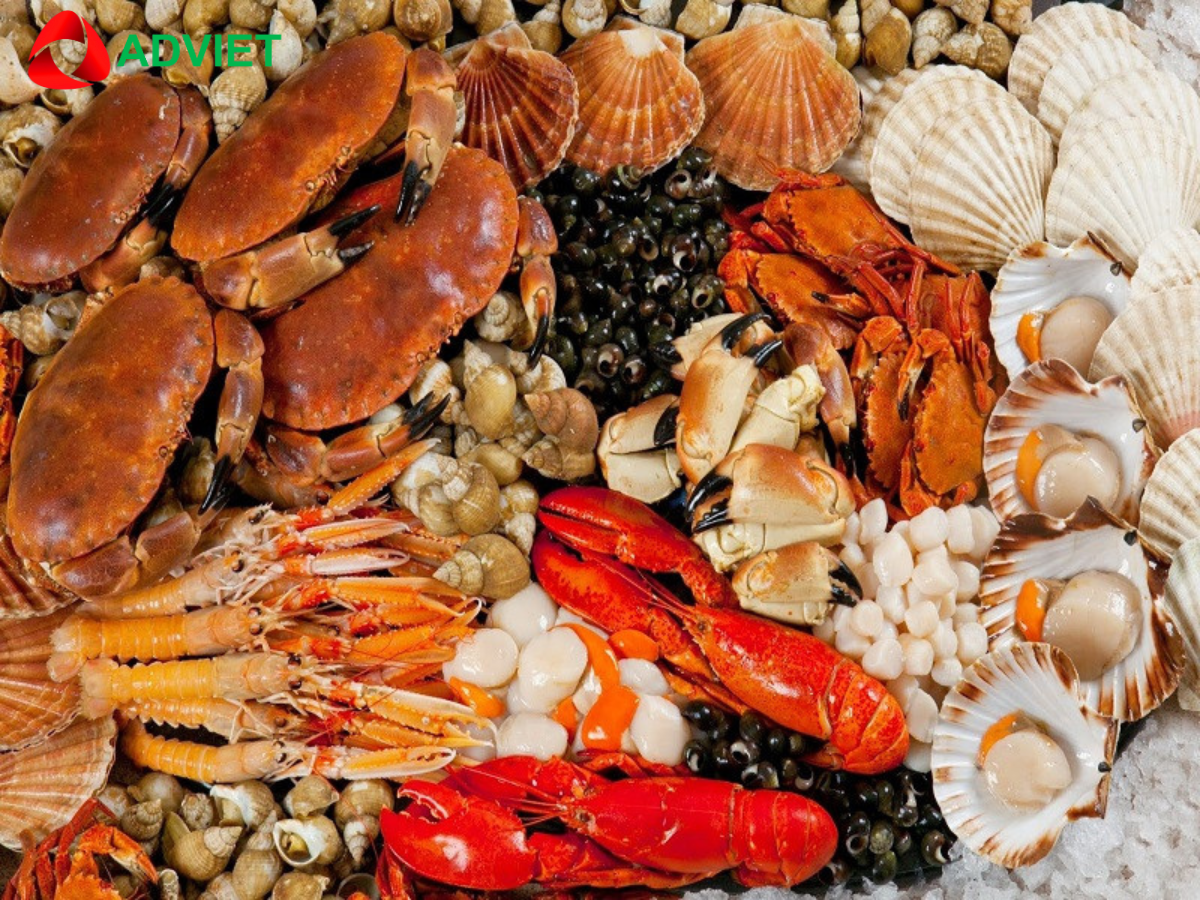Hải sản tươi ngon ở Hòn Câu Bình Thuận